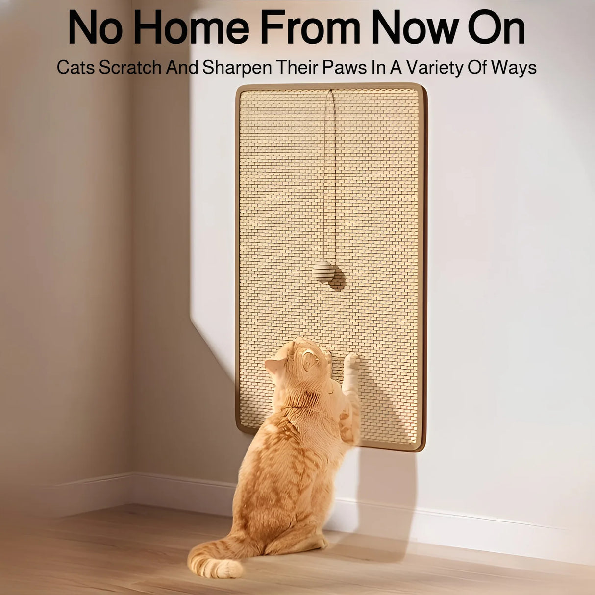 Arranhador de parede